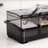 kitchen Black Acrylic Spice Container Kitchen Seasoning Box Salt Shaker Spice Jar with 4 Spoons view 2