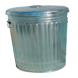 DefenseGuard 20 Gallon Galvanized Trash Can with Lid