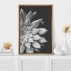 SIGNWIN Framed Canvas Print Wall Art Film Grain Silver Star Succulent on Dark Background Floral Plants Photography Minimalism Southwest Relax/Calm for Living Room, Bedroom, Office - 16"x24" Natural view 2