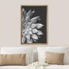 SIGNWIN Framed Canvas Print Wall Art Film Grain Silver Star Succulent on Dark Background Floral Plants Photography Minimalism Southwest Relax/Calm for Living Room, Bedroom, Office - 16"x24" Natural view 3