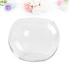 DOITOOL 2pcs Glass Terrarium Container Bowl Vase Bubble Micro Landscape Air Plant Succulent Planter Fruit Jar Candy Dish Air Plant Holder for Home Wedding Centerpiece 10CM view 2
