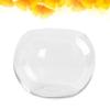 DOITOOL 2pcs Glass Terrarium Container Bowl Vase Bubble Micro Landscape Air Plant Succulent Planter Fruit Jar Candy Dish Air Plant Holder for Home Wedding Centerpiece 10CM view 4