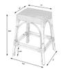 Butler Specialty Company Robias Rattan 24.5" Counter Stool - Glossy White view 3