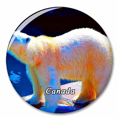 Canada Polar Bear Fridge Magnet Decorative Magnet Bottle Opener Tourist City Travel Souvenir Collection Gift Strong Refrigerator Sticker