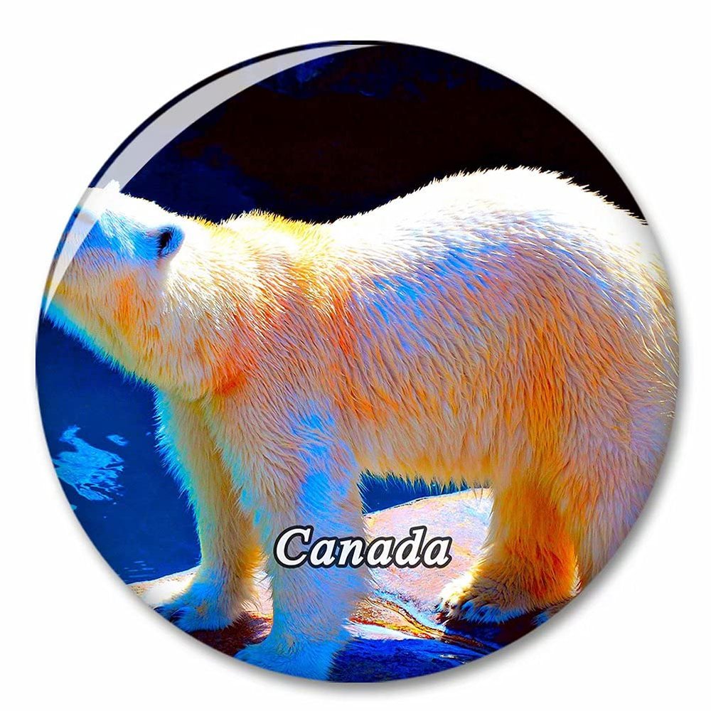 Canada Polar Bear Fridge Magnet Decorative Magnet Bottle Opener Tourist City Travel Souvenir Collection Gift Strong Refrigerator Sticker