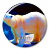 Canada Polar Bear Fridge Magnet Decorative Magnet Bottle Opener Tourist City Travel Souvenir Collection Gift Strong Refrigerator Sticker view 1