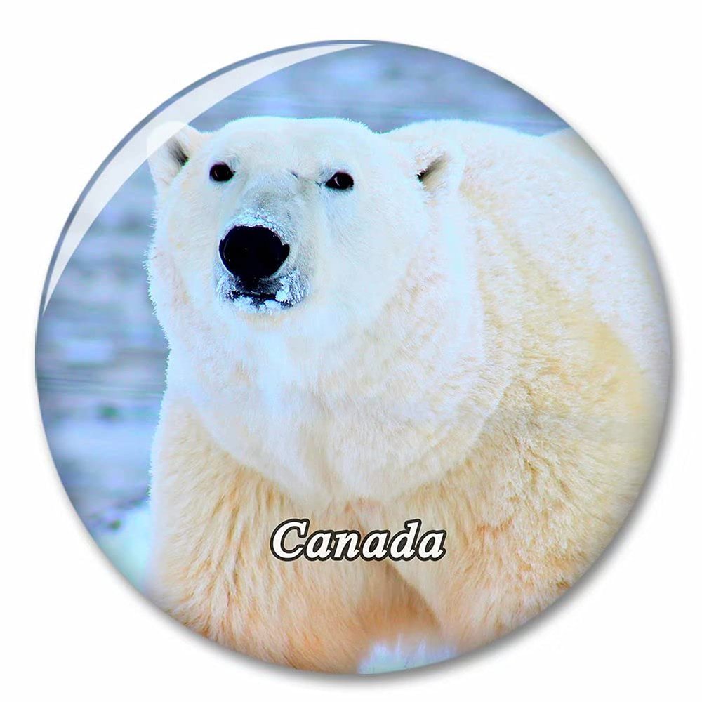 Canada Polar Bear Fridge Magnet Decorative Magnet Bottle Opener Tourist City Travel Souvenir Collection Gift Strong Refrigerator Sticker