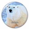 Canada Polar Bear Fridge Magnet Decorative Magnet Bottle Opener Tourist City Travel Souvenir Collection Gift Strong Refrigerator Sticker view 1