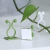 Hemoton Plant Climbing Wall Clips 80pcs Set Vine Clips for Climbing Plants Sticky Hooks view 2