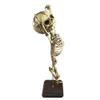 Asylum Zone Danse Macabre Dance of Death Human Baby Fetal Fetus Skeleton Oddity Curiosity, Brown and Beige, One Size view 4
