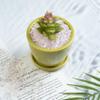 Crocon 1/2 LB Crushed Rose Quartz Chips Bulk Stones 1100+ Carats Natural Quartz Pieces Irregular Shape Gemstones for House Warming Gifts New Home & Chakra Healing Crystals Home Dcor Gifts for Women view 2