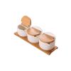 KJLY Kitchen Ceramic Condiment Jars Seasoning, Spice Jars, Dressing & Spice Dispensers, Salt Cans, 250ML3 view 1