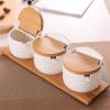 KJLY Kitchen Ceramic Condiment Jars Seasoning, Spice Jars, Dressing & Spice Dispensers, Salt Cans, 250ML3 view 2
