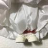 Just Ducky Vintage Ceramic Christmas Duck Holding Small Duck Figurine (1987) view 3