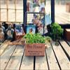 Anncus F Zakka Shelf Wood Box Storage Wood Shelf box Flowers Hanging Shelf wood log iron Shelf view 2
