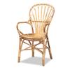 Bali & pari Sheraton Modern and Contemporary Light Honey Rattan Dining Chair view 1