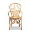 Bali & pari Sheraton Modern and Contemporary Light Honey Rattan Dining Chair view 3
