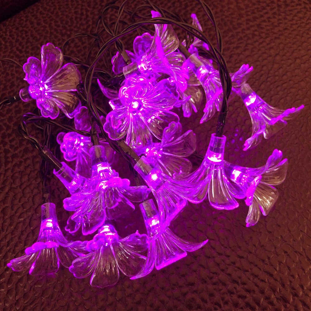 AMZSTAR Solar Morning Glory Fairy String Lights, 21ft/6.35m 30 LED Flower Lights Waterproof String Lights for Gardens Homes Wedding Christmas Party Holiday Decorations (Pink)