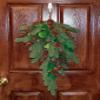 Worth Imports 30" Spruce Pine Cone Berry Teardrop view 2