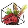 5.5" Artificial Succulent Arrangement in Black Metal Wire Frame view 3