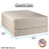 DS USA Highlight Luxury Firm Mattress & Low 5" Height Box Spring Set with Mattress Protector Included - Orthopedic, Fully Assembled, Spinal Support, Longlasting (Queen 60"x80"x14") view 2