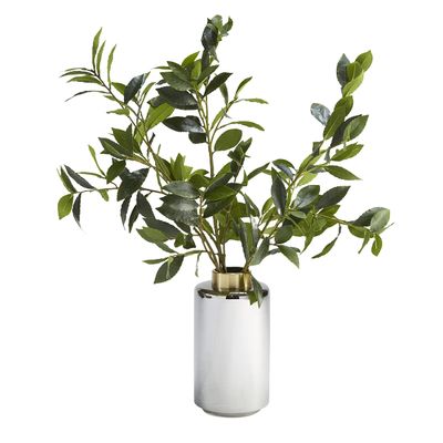 D & W Silks Bay Leaf Branches in Smoked Glass Vase - Large