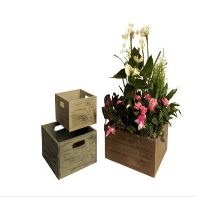Wald 8340/S3 Set of 3 Square Distressed Rustic Wood Crates