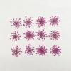 100pcs/pack Ammi majus Natural Pressed Dried Flower for Resin Jewelry Making, Soap and Candle Making, Scrapbooking DIY (Rose Red) view 2