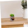 Large Outdoor Planters Kitchen Helper Cute Black Bear Flower Sedum Succulent Pot Planter Bonsai Trough Box Plant Bed Office Pot Decor Artificial Outdoor Plants view 3