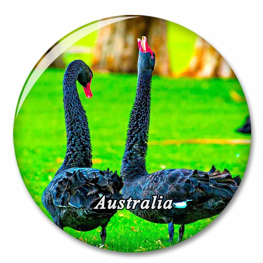 Australia Black Swan Fridge Magnet Decorative Magnet Bottle Opener Tourist City Travel Souvenir Collection Gift Strong Refrigerator Sticker