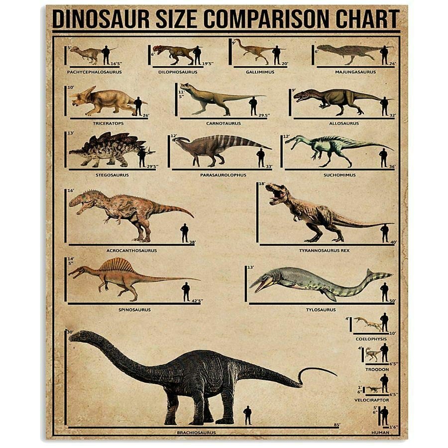 Tin Sign Dinosaur Size Comparison Chart Retro Metal Signage Infographic Poster for Plaque 12x17 Inch for Bar Cafe Club School