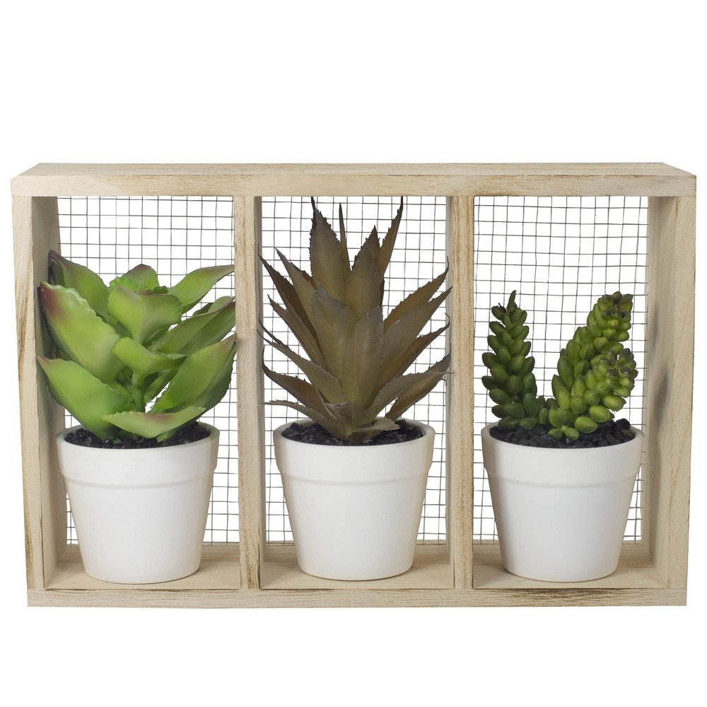 10.75" Artificial Mixed Potted Succulents in Wooden Box