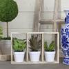 10.75" Artificial Mixed Potted Succulents in Wooden Box view 2