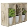 10.75" Artificial Mixed Potted Succulents in Wooden Box view 3