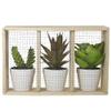 10.75" Artificial Mixed Potted Succulents in Wooden Box view 4