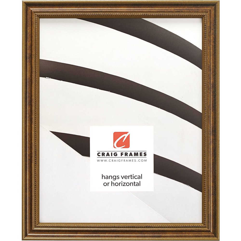 Craig Frames 314BR, Ornate Bronze Picture Frame, 24 x 36 Inch