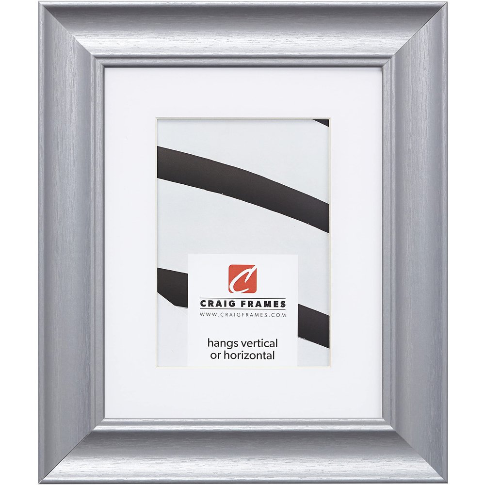 Craig Frames Vintage Revival, 24 x 32 Inch Brushed Silver Picture Frame Matted to Display a 20 x 28 Inch Photo