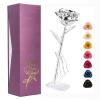 Ejoyous Silver Plated Real Rose Long Stem Forever Preserved Rose Flower for Her Women Wife Mother Girlfriend on Mothers Day Valentine's Day 25th 50th Anniversary Birthday view 1