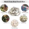 Ejoyous Silver Plated Real Rose Long Stem Forever Preserved Rose Flower for Her Women Wife Mother Girlfriend on Mothers Day Valentine's Day 25th 50th Anniversary Birthday view 2