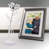 Ejoyous Silver Plated Real Rose Long Stem Forever Preserved Rose Flower for Her Women Wife Mother Girlfriend on Mothers Day Valentine's Day 25th 50th Anniversary Birthday view 3