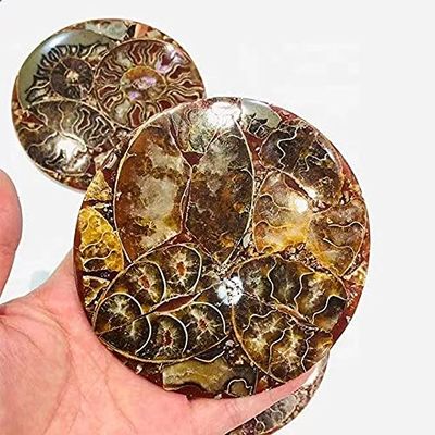 1pc 120mm Natural Quartz Crystal Cup Pallet Ammonite Coaster Slice for Decoration