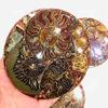 1pc 120mm Natural Quartz Crystal Cup Pallet Ammonite Coaster Slice for Decoration view 3
