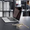 Wakauto Brass Bird Figurine Hummingbird,4.52 Inch Metal Bird Hummingbird Model Statues Animals Sculptures Collection Art Decor for Living Room Bedroom Office view 4