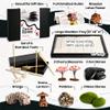Zen Garden Kit for Desk 12x8in Sand Tray, Japanese Gift Set 14 Accessories and 6 Tools, Meditation Mini Zen Garden, Zen Sand Garden, Home Office Desk Decorations, Therapy Kit, Rock Decor view 3