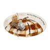 Mud Pie Pumpkin Tray & Mini Truck Toothpick Holder, Tray 9" x 12" | Truck 2" x 3 1/2" view 2