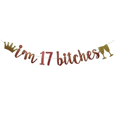 I'm 17 Bitches Banner Rose Gold Glitter Paper Funny Party Decorations for 17TH Birthday Party Supplies Happy 17TH Birthday Cheers to 17 Years Old Letters Rose Gold Betteryanzi