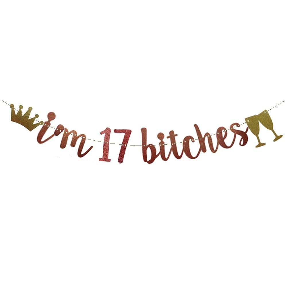 I'm 17 Bitches Banner Rose Gold Glitter Paper Funny Party Decorations for 17TH Birthday Party Supplies Happy 17TH Birthday Cheers to 17 Years Old Letters Rose Gold Betteryanzi