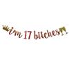 I'm 17 Bitches Banner Rose Gold Glitter Paper Funny Party Decorations for 17TH Birthday Party Supplies Happy 17TH Birthday Cheers to 17 Years Old Letters Rose Gold Betteryanzi view 1