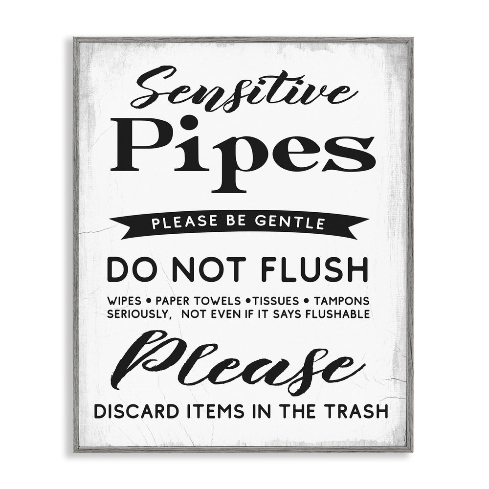 Stupell Industries 'Sensitive Pipes Sign Flushing Restrictions', Framed Giclee Art, Gray, 24 x 30 Inches, Easy to Hang and Sturdy, Made in USA, by Lil' Rue