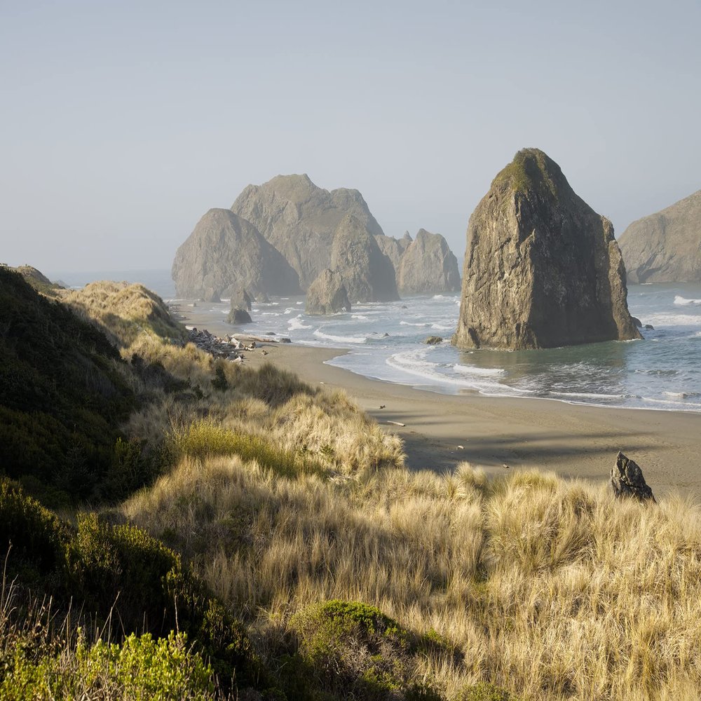Coastal Ocean Sea Stacks and Beach at Morning Photo Wall Art (Acrylic, 12x18)